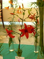 Foto: Dr. Peter Müller